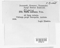 Image Associated With the Occurence